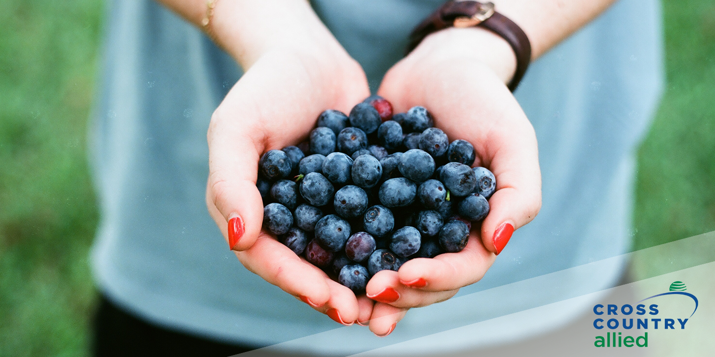 Four Power Foods That Will Keep You Energized for Your Travel Assignment 